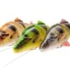 Savage Gear Przynęty 4D Line Thru Perch -Fishing Mart 4d line thru perch rj