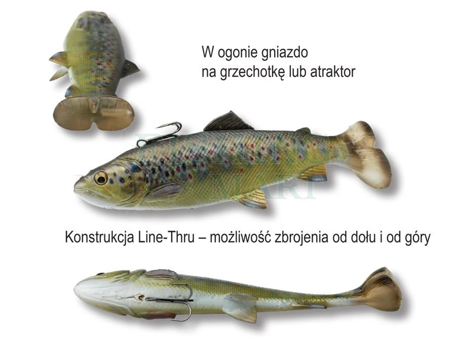Savage Gear Przynęty 4D Pulsetail Trout 5 Savage Gear Przynęty 4D Pulsetail Trout - obrazek 3