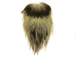 Kapki Siodłowe Kogutów