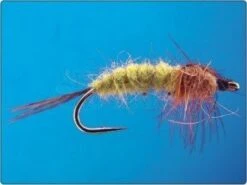 Nimfy, Larwy (zadziorowe)