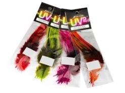 Pióra UV2 Coq De Leon Perdigon Fire Tail Feathers