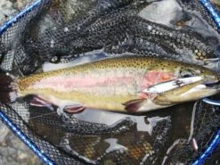 Przynęty HymiR-85 -Fishing Mart przynety hymir 85 xp