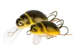 Woblery Pływak żółtobrzeżek