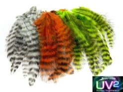 Pióra UV2 Grizzly Soft Hackles