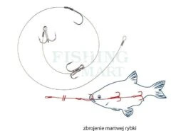 Dragon Systemiki Do Martwej Rybki