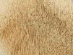 Wapsi Sierść Jelenia