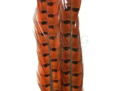 Wapsi Sterówki Bażanta Ringneck Tail Feathers